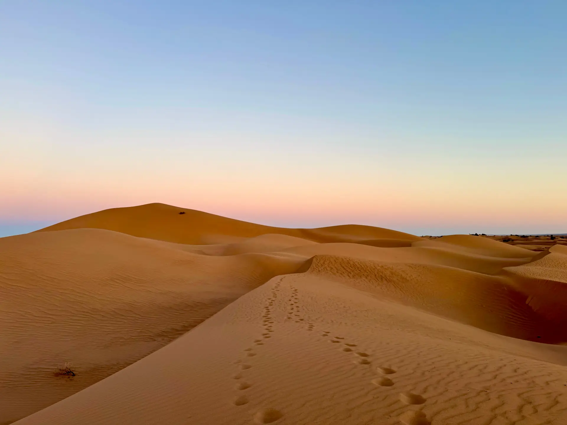 Sahara dunes at golden hour